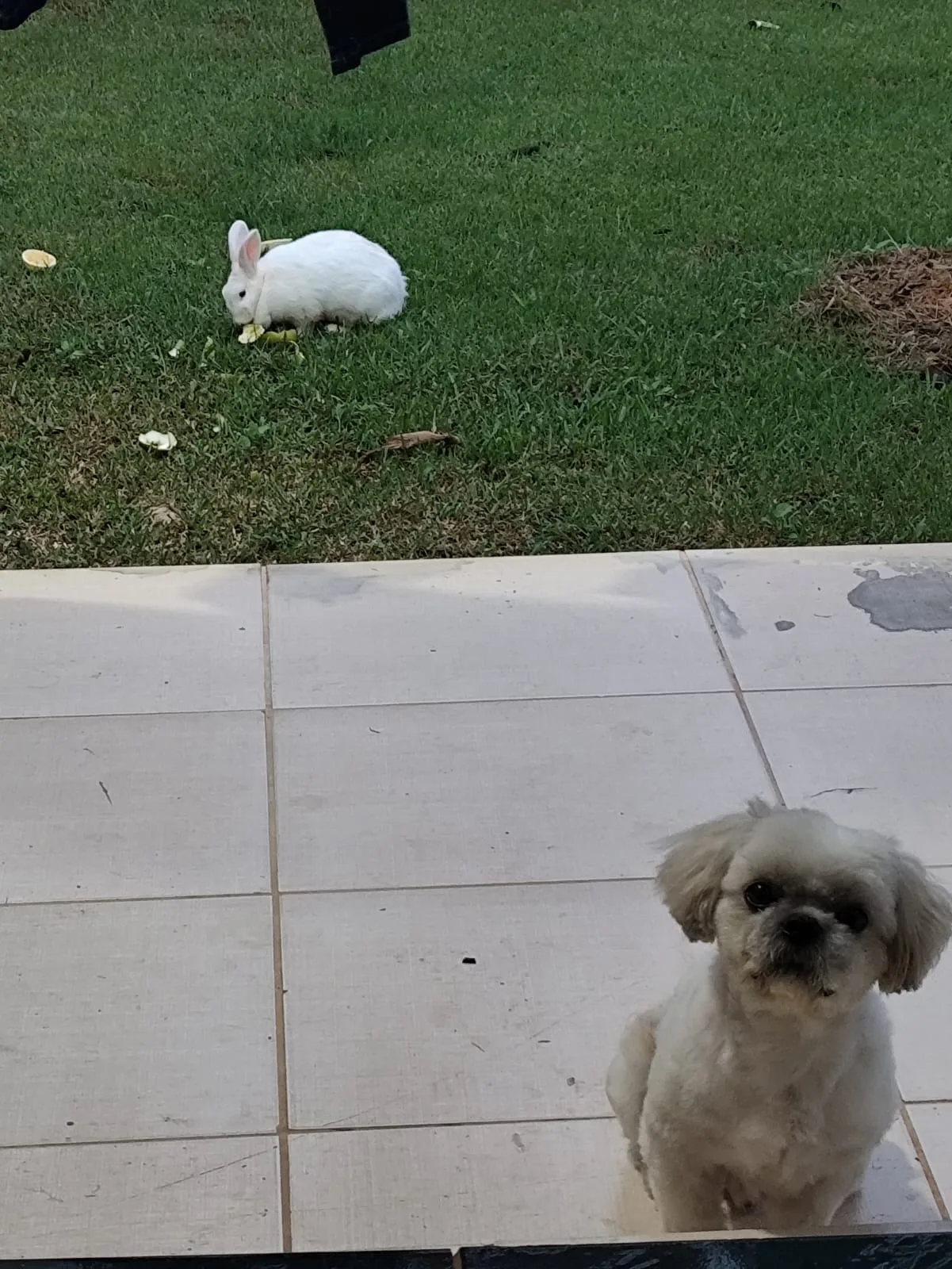 Mídia 1 da publicação de Danny Silva